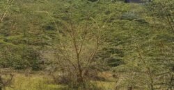 Affordable 100×100 Plots for Sale in Ruai