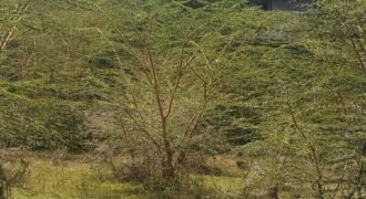 Affordable 100×100 Plots for Sale in Ruai