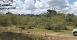 Land for a Mall along Kangundo road