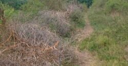 Embakasi Plots for Sale