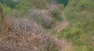 Embakasi Plots for Sale