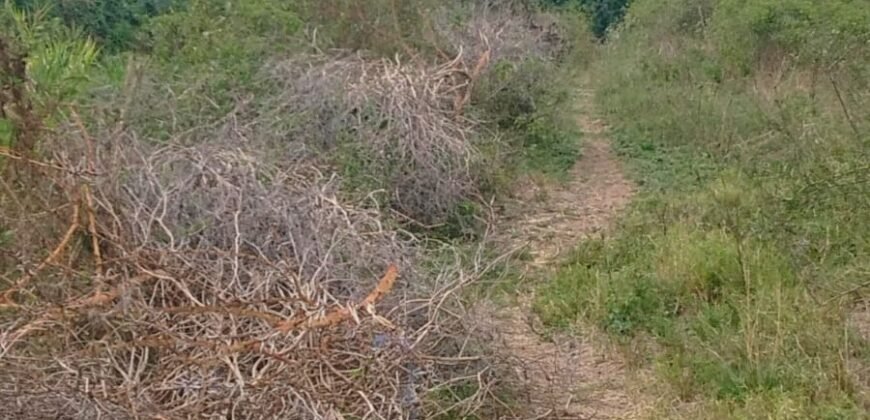 Embakasi Plots for Sale