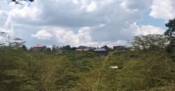 Residential Plots for Sale Along Kangundo Road