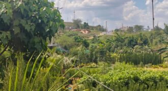 School Land for Sale Along Kangundo Road – Ruai Area