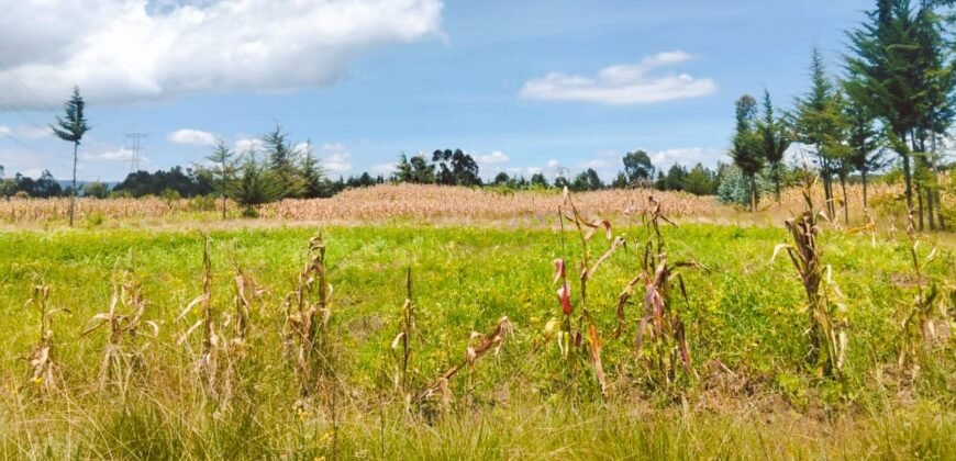 2 acres land for sale in Kabubani Olkalou