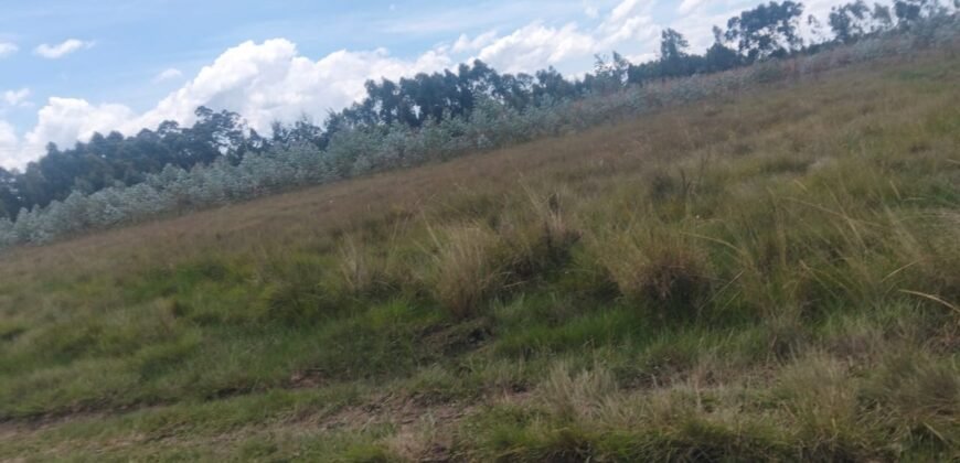 Sister’s 3 acres land for sale Nduha Olkalou