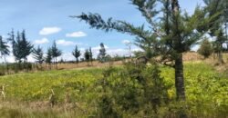 Kabubani land for sale
