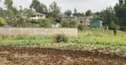 Plots for sale in Kahuho Muguga