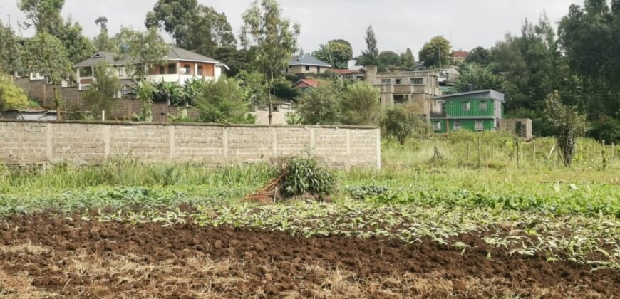 Plots for sale in Kahuho Muguga
