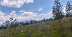 Sister’s 3 acres land for sale Nduha Olkalou