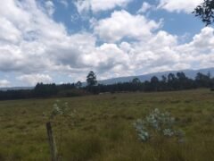 Sister’s 3 acres land for sale Nduha Olkalou