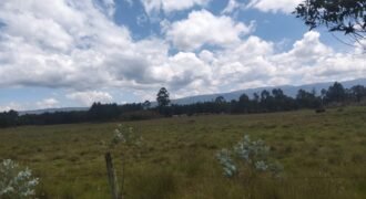 Sister’s 3 acres land for sale Nduha Olkalou