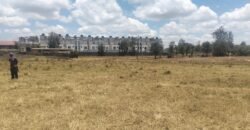Land for Sale in Ruiru Kamakis