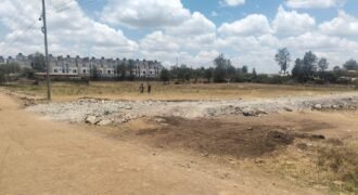 Land for Sale in Ruiru Kamakis