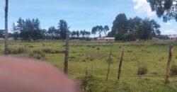 Nduha land for sale