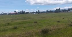 Nduha land for sale