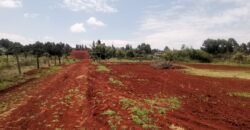 Plots for Sale in Gitaru
