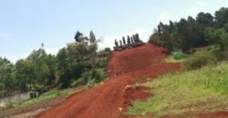 Land for sale in Kahuho