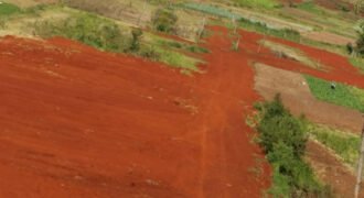 Land for sale in Kahuho