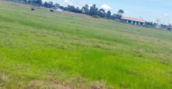 Residential land for sale in Kabubani Residential land for sale in Kabubani
