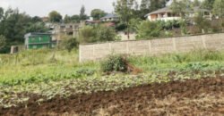 50 by 100 plots for sale in Muguga