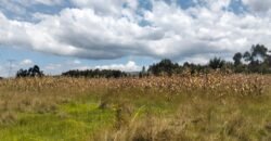 Agricultural land for sale in Kabubani Olkalou