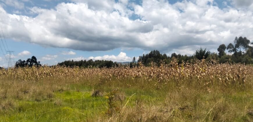Agricultural land for sale in Kabubani Olkalou