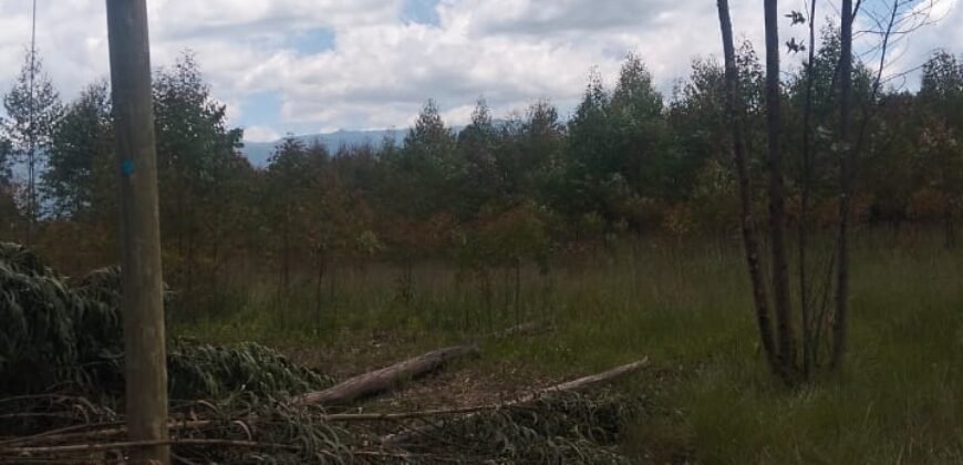 5 acres land for sale in Chebes Olkalou