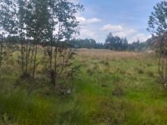 5 acres land for sale in Chebes Olkalou