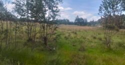 5 acres land for sale in Chebes Olkalou