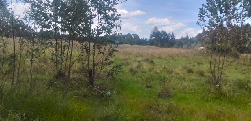 5 acres land for sale in Chebes Olkalou