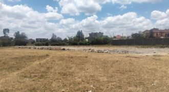 Plots for Sale in Kamakis